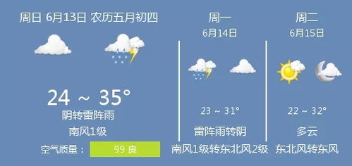 2021年6月13日衡水的天气