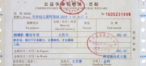 急急急！新设立的公司怎么开发票？