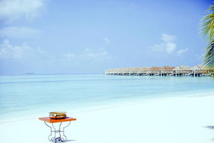 马尔代夫的双鱼岛浪漫之旅的最佳去处（马尔代夫的渔业）