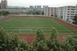 张雪峰谈重庆邮电大学，四川邮电职业技术学院怎么样