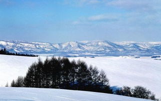 日本北海道雪景 图片搜索