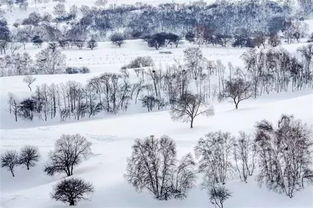 雪后即景作文评语