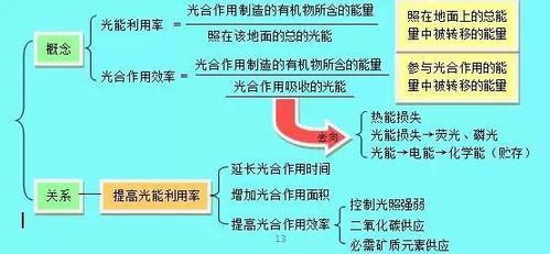 理综知识最全思维导图 物理 化学 生物 查漏补缺必备 七云志愿