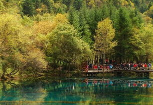 九寨沟什么时候去最好 九寨沟旅游最佳时间 四川九寨沟最佳旅游季节 几月份去九寨沟好 