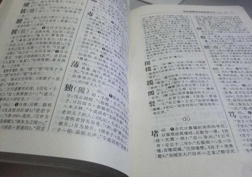 梦见查字典找不到字是什么意思