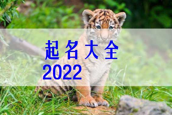 2022年姓廉的女虎宝宝起名(2022年属虎女宝宝乳名)