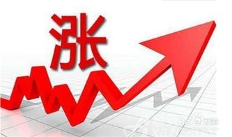 炒基金能赚钱吗？多少资金可以玩