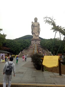 灵山大佛 门票 灵山大佛成人票无锡灵山景区很壮观,过去的时候正好碰上莲花 驴妈妈点评 