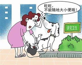 闵行人最厌恶的不文明养犬行为,排第一的竟是 