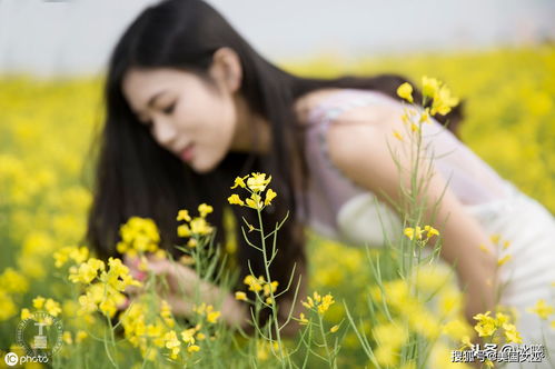 8月,桃花雨下,前任回头,冰释前嫌,3星座感情破镜重圆