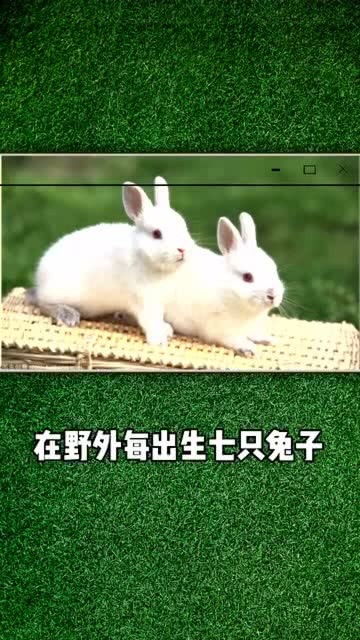 趣事 关于动物的冷知识 