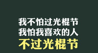 11月11日光棍节恶搞句子 