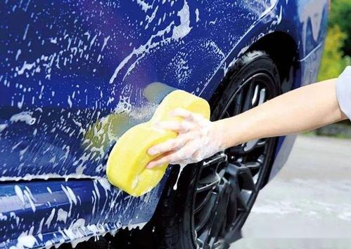 夏天洗车的三不要 两不停否则就是在毁车,新手司机容易犯