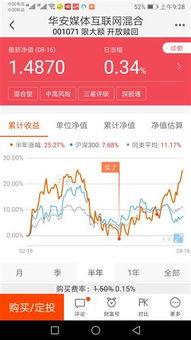 电子信息股票分类 电子信息股票有哪些？