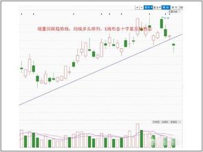 股市走势将会怎样？个股该怎样操作？