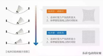 新拍为什么不建议拉高磅数