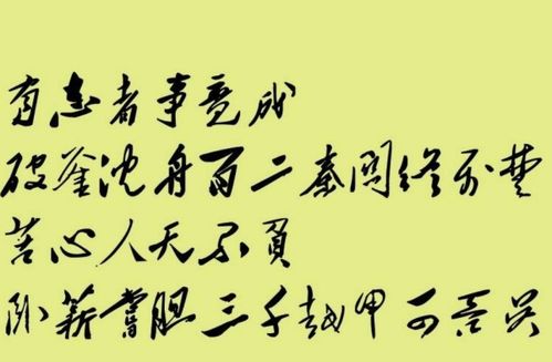 类似“有志者，事竟成，破釜沉舟，百二秦关终属楚……苦心人，天不负，卧薪尝胆，三千越甲可吞吴”的句子