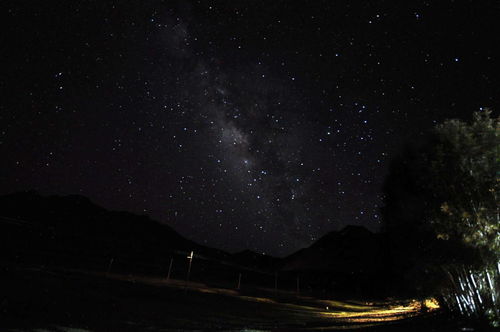 星座日运,白羊座疲惫,双子座忙碌,天蝎座厌烦