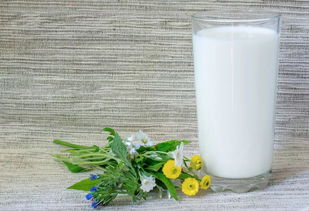 牛奶脂肪高吗 什么人要少喝牛奶