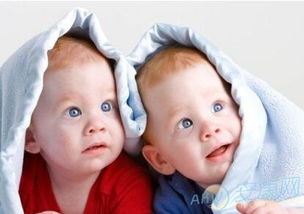 孕妇梦见双胞胎好不好 从梦境特点来看
