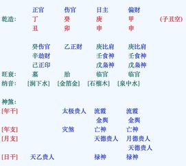 有没有大神能看下四柱,年支中的亡神和灾煞是什么意思 