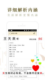 起名取名大师app下载 起名取名大师安卓版下载 v2.4.3 跑跑车安卓网 