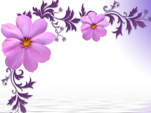 现代简约优雅紫色花朵花卉背景墙图片设计素材 高清psd模板下载 12.32MB 现代简约电视背景墙大全 