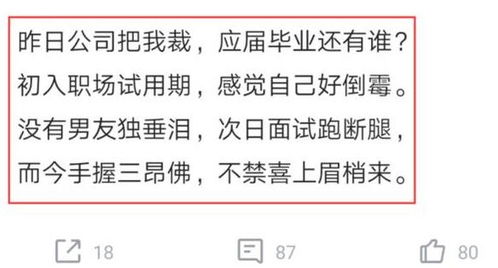 女员工被公司辞退后找到新工作,赋诗一首,晒出内容后网友 羡慕