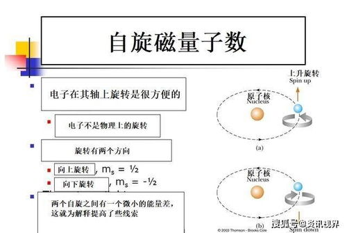 电子运动的四大量子数与个体量子态