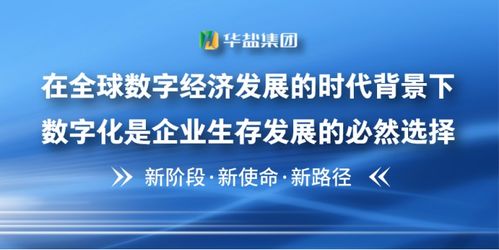 华盐科技集团 数字经济企业的机会来了