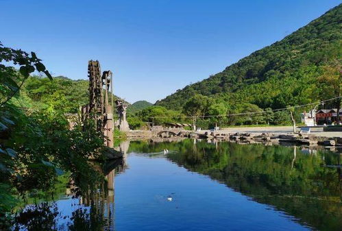 浙江宁波郊区有个九龙湖风景区,原本是个水库,湖心还有一座猴岛