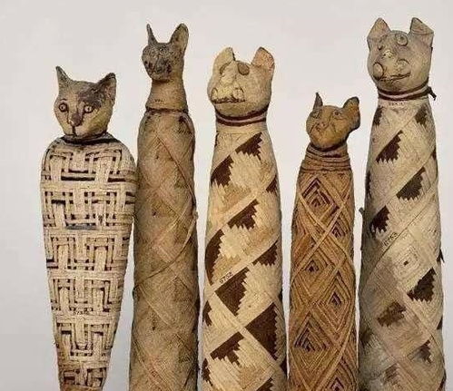 古埃及人为什么将猫制成木乃伊 它们还拥有多条尾巴和腿