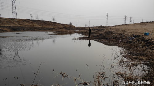 晚秋野钓鱼没口,需要改掉四个坏习惯,这是晚秋爆护的关键 钓友 