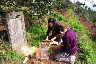 农村人经常上坟,城市人经常在路边烧纸,原因是上坟能给带来好运