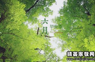 高中写给老师的毕业赠言