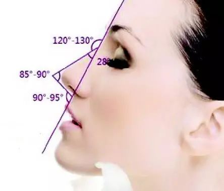 鼻梁高度决定面部是否有立体感