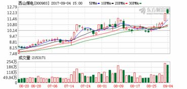 西山煤电控股股东100%股权注入是什么意思