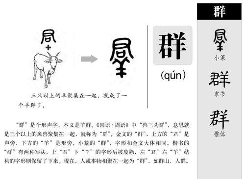 群的意思 群字五行属什么 群字取名的寓意 