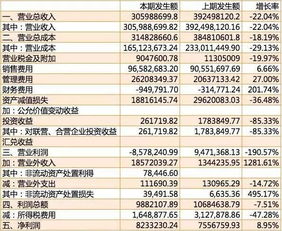 如果一家新公司想上市是做利润还是做流水