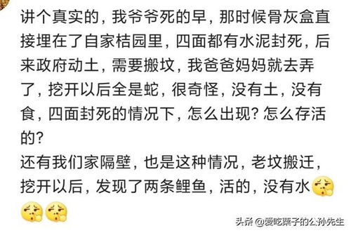 你们村里流传过哪些关于蛇的民间小故事 后来我和狗蛋哭的都挺响