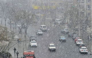 雨雪天气行车(雨雪天气开车用什么模式)