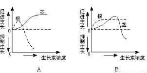 为什么机体细胞内液与组织液通常具有相同的总渗透压