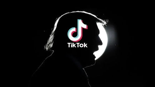 tiktok冷门类目_海外版抖音TikTok营销开户