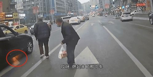 重庆两老人冲上马路逼停公交车,真相令人暖心