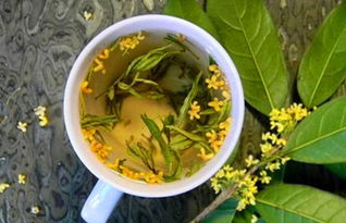 桂花茶和什么搭配泡水最合适,桂花花茶和什么搭配喝？