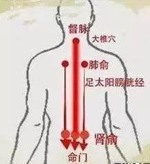 人体阳气由强到弱的过程,就是疾病发展的过程