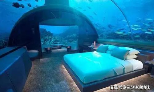 世界上最奇葩的酒店,建造在大海中央与鲨鱼共眠,看完坐不住了