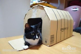 如何用纸盒做猫窝 
