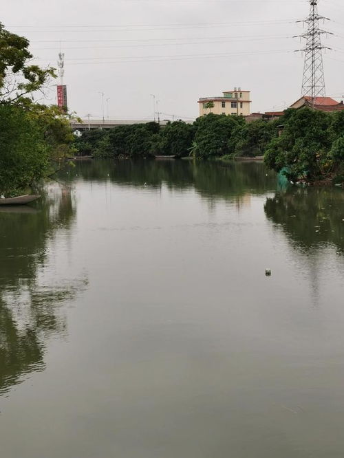 福建莆田涵江白塘镇天气预报