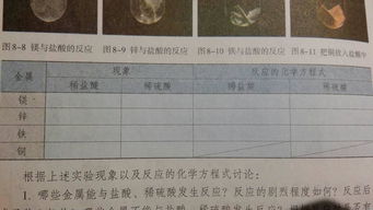 镁 锌 铁 铜与稀盐酸 稀硫酸反应的现象以及化学方程式分别是 